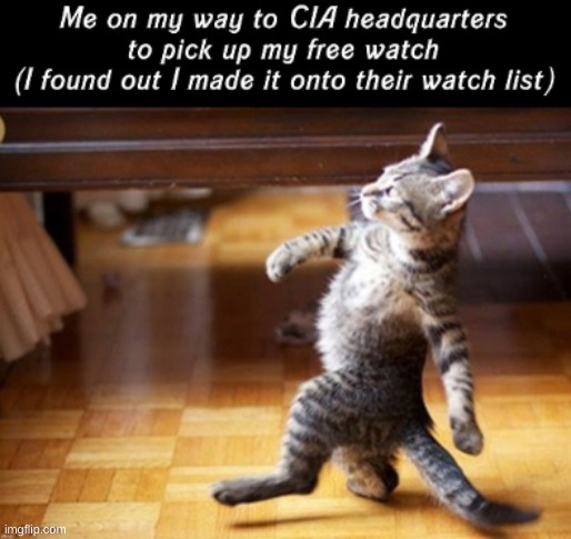 cia watch | image tagged in memes | made w/ Imgflip meme maker