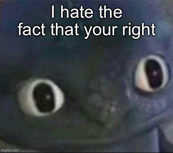 toothless blank stare | I hate the fact that your right | image tagged in toothless blank stare | made w/ Imgflip meme maker