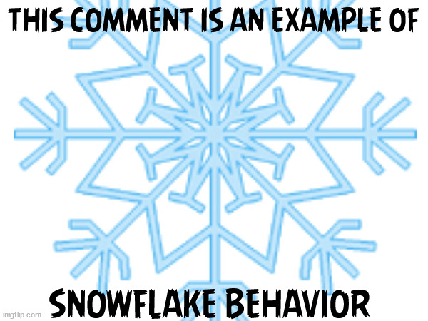 THIS COMMENT IS AN EXAMPLE OF SNOWFLAKE BEHAVIOR | made w/ Imgflip meme maker