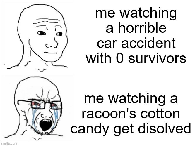 poor raccon man | me watching a horrible car accident with 0 survivors; me watching a racoon's cotton candy get disolved | image tagged in double crying wojak,raccoon,cotton candy,wojak | made w/ Imgflip meme maker