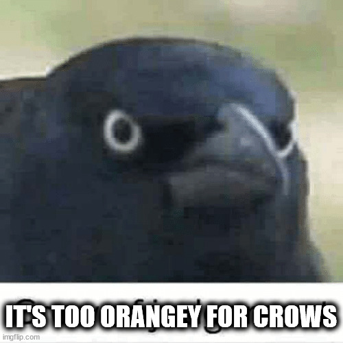 Crow of judgement | IT'S TOO ORANGEY FOR CROWS | image tagged in crow of judgement | made w/ Imgflip meme maker