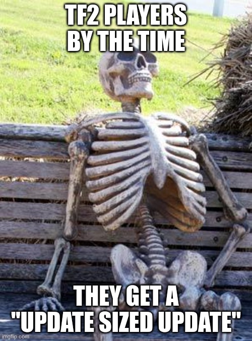 tf2 | TF2 PLAYERS BY THE TIME; THEY GET A "UPDATE SIZED UPDATE" | image tagged in memes,waiting skeleton | made w/ Imgflip meme maker