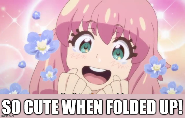 KAWAII | SO CUTE WHEN FOLDED UP! | image tagged in kawaii | made w/ Imgflip meme maker