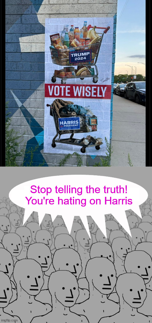 Libs can't handle the truth | Stop telling the truth!
You're hating on Harris | image tagged in npc,cannot face the truth,it is the economy stupid | made w/ Imgflip meme maker