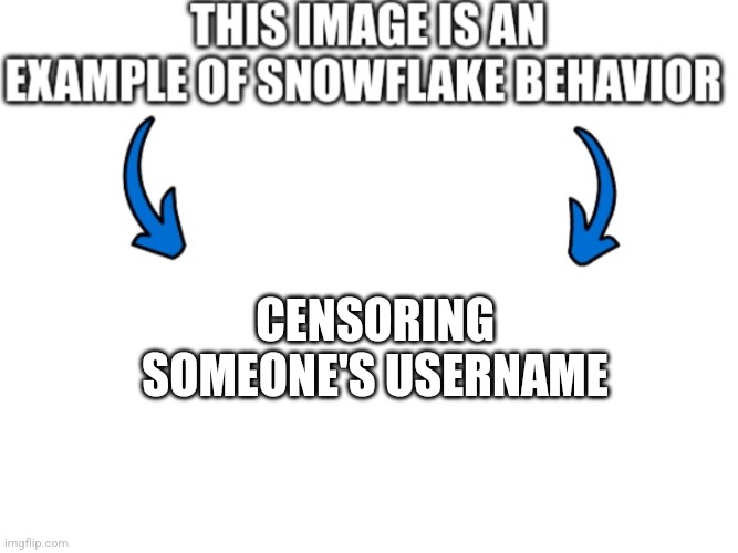 Grimcringe censored mine | CENSORING SOMEONE'S USERNAME | image tagged in this image is an example of snowflake behavior | made w/ Imgflip meme maker