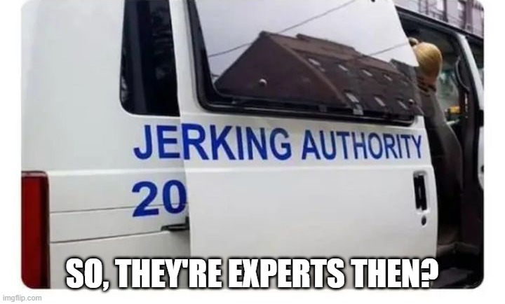 Expert Help | SO, THEY'RE EXPERTS THEN? | image tagged in sex jokes | made w/ Imgflip meme maker