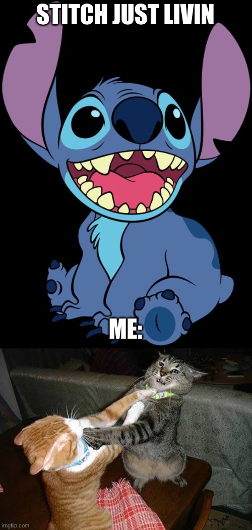 STITCH JUST LIVIN; ME: | image tagged in stitch,two cats fighting for real | made w/ Imgflip meme maker