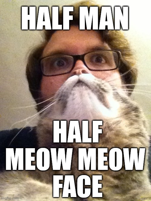 Meow Meow Face | HALF MAN; HALF
MEOW MEOW 
FACE | image tagged in memes,surprised catman,meow,perspective | made w/ Imgflip meme maker