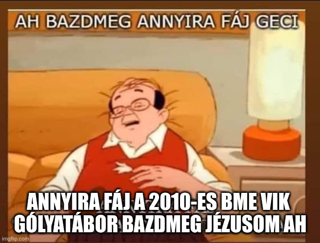 ANNYIRA FÁJ A 2010-ES BME VIK 
GÓLYATÁBOR BAZDMEG JÉZUSOM AH | made w/ Imgflip meme maker