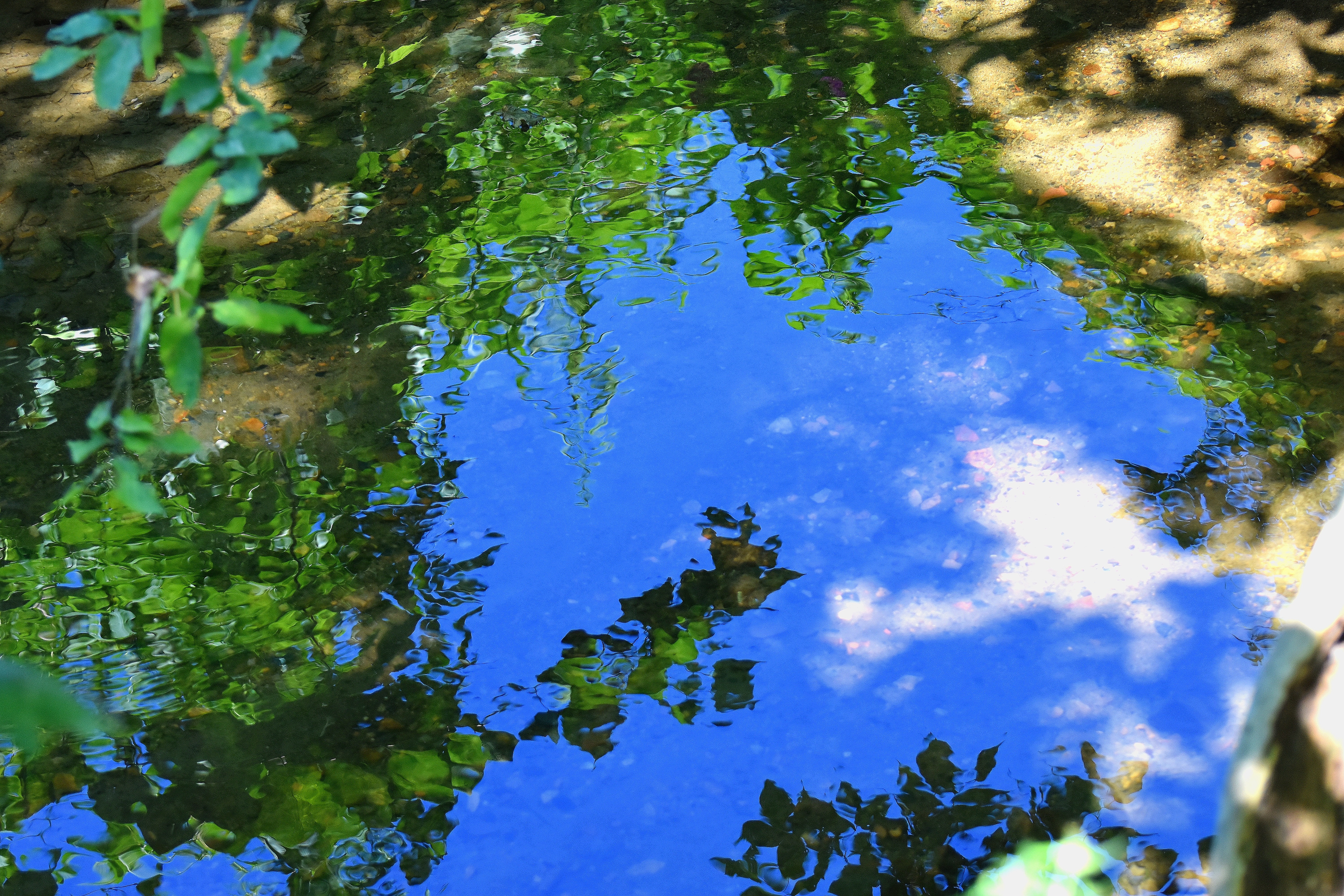 reflection in my creek | made w/ Imgflip meme maker