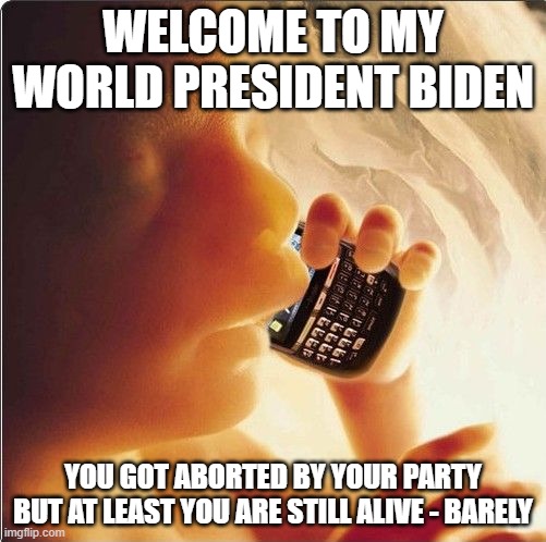 Baby in womb on cell phone - fetus blackberry | WELCOME TO MY WORLD PRESIDENT BIDEN; YOU GOT ABORTED BY YOUR PARTY BUT AT LEAST YOU ARE STILL ALIVE - BARELY | image tagged in baby in womb on cell phone - fetus blackberry | made w/ Imgflip meme maker