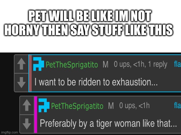 PET WILL BE LIKE IM NOT HORNY THEN SAY STUFF LIKE THIS | made w/ Imgflip meme maker