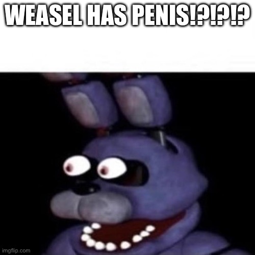 HOLY SHI- | WEASEL HAS PENIS!?!?!? | image tagged in bonnie eye pop | made w/ Imgflip meme maker