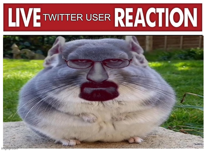 Live reaction | TWITTER USER | image tagged in live reaction,memes,twitter,shitpost,funny memes,humor | made w/ Imgflip meme maker