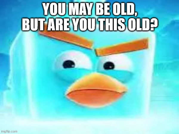 Does anyone remember Ice bird from angry birds space? | YOU MAY BE OLD, BUT ARE YOU THIS OLD? | image tagged in angry birds,angry birds space,space,ice bird | made w/ Imgflip meme maker