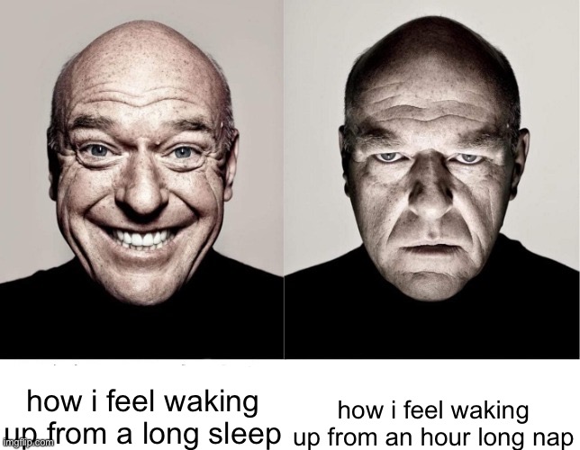 i always feel like crap | how i feel waking up from a long sleep; how i feel waking up from an hour long nap | image tagged in breaking bad smile frown,sleep,memes,funny,fun | made w/ Imgflip meme maker