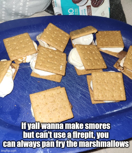 if yall wanna make smores but can't use a firepit, you can always pan fry the marshmallows | made w/ Imgflip meme maker