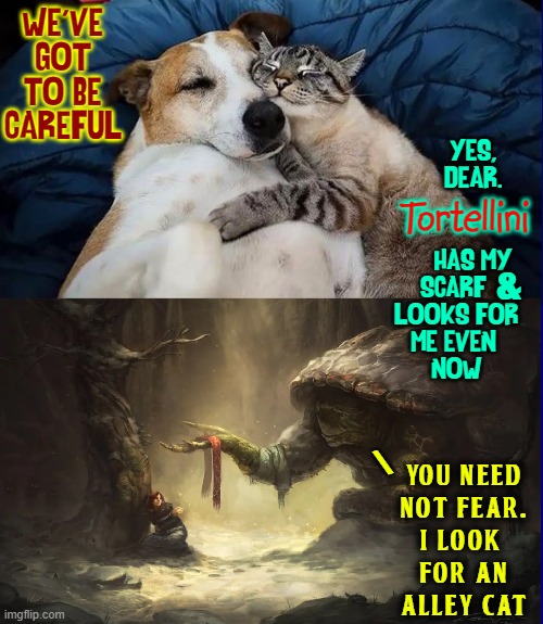 The Many Loves of Jezz-A-Bell Cat | WE'VE GOT TO BE CAREFUL YES,
     DEAR.
          
\
      HAS MY 
SCARF 
LOOKS FOR
ME EVEN 
NOW & Tortellini You  need
not  Fear.
I  look 
 | image tagged in vince vance,cats,dogs,turtles,scarf,tortellini | made w/ Imgflip meme maker