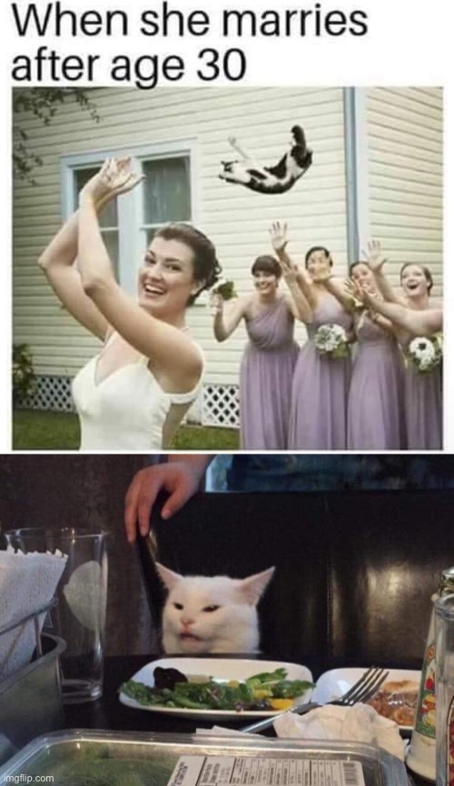 Marriage of an older girl | image tagged in salad cat,cat,wedding | made w/ Imgflip meme maker