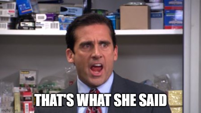 the office bankruptcy | THAT'S WHAT SHE SAID | image tagged in the office bankruptcy | made w/ Imgflip meme maker