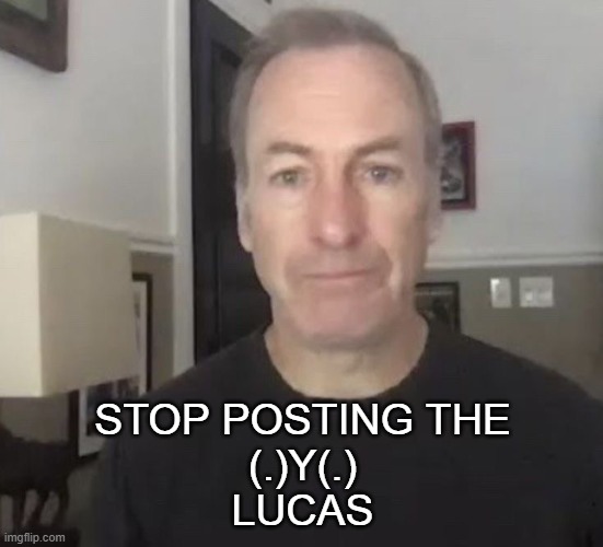 ya dummy | STOP POSTING THE
(.)Y(.)
LUCAS | image tagged in erm okay | made w/ Imgflip meme maker