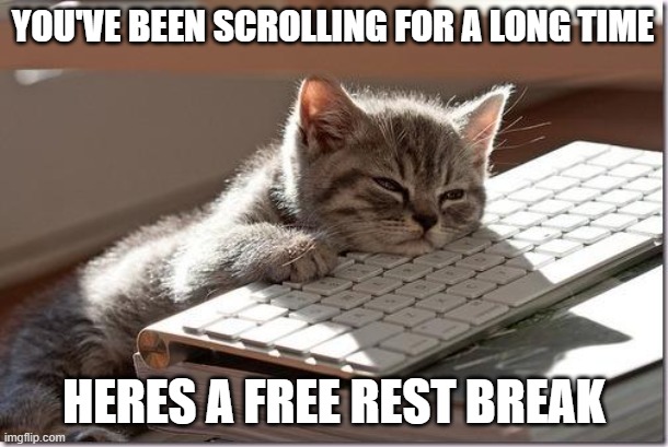 :3 | YOU'VE BEEN SCROLLING FOR A LONG TIME; HERES A FREE REST BREAK | image tagged in bored keyboard cat | made w/ Imgflip meme maker