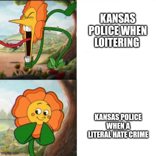 Sunflower | KANSAS POLICE WHEN LOITERING; KANSAS POLICE WHEN A LITERAL HATE CRIME | image tagged in sunflower | made w/ Imgflip meme maker