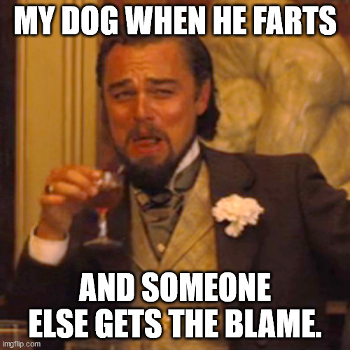 Laughing Leo Meme | MY DOG WHEN HE FARTS; AND SOMEONE ELSE GETS THE BLAME. | image tagged in memes,laughing leo | made w/ Imgflip meme maker