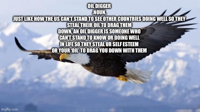 eagle | OIL DIGGER
.NOUN.
JUST LIKE HOW THE US CAN’T STAND TO SEE OTHER COUNTRIES DOING WELL SO THEY STEAL THEIR OIL TO DRAG THEM DOWN, AN OIL DIGGER IS SOMEONE WHO CAN’T STAND TO KNOW UR DOING WELL IN LIFE SO THEY STEAL UR SELF ESTEEM OR YOUR ‘OIL’ TO DRAG YOU DOWN WITH THEM | image tagged in eagle | made w/ Imgflip meme maker