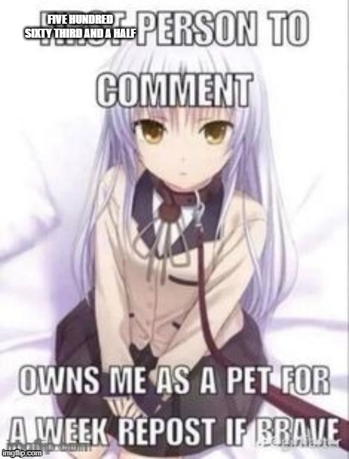 first person to comment owns as a pet for a week | FIVE HUNDRED SIXTY THIRD AND A HALF | image tagged in first person to comment owns as a pet for a week | made w/ Imgflip meme maker