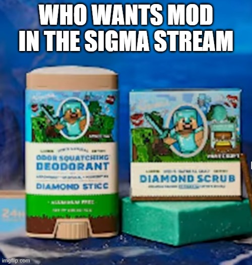 Minecraft Deodorant | WHO WANTS MOD IN THE SIGMA STREAM | image tagged in minecraft deodorant | made w/ Imgflip meme maker