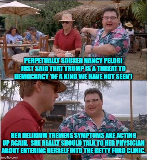 Just as a mental health precaution, Nancy. | PERPETUALLY SOUSED NANCY PELOSI JUST SAID THAT TRUMP IS A THREAT TO DEMOCRACY ‘OF A KIND WE HAVE NOT SEEN’! HER DELIRIUM TREMENS SYMPTOMS ARE ACTING UP AGAIN.  SHE REALLY SHOULD TALK TO HER PHYSICIAN ABOUT ENTERING HERSELF INTO THE BETTY FORD CLINIC. | image tagged in see nobody cares | made w/ Imgflip meme maker