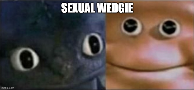 Blank stare dragon | SEXUAL WEDGIE | image tagged in blank stare dragon | made w/ Imgflip meme maker