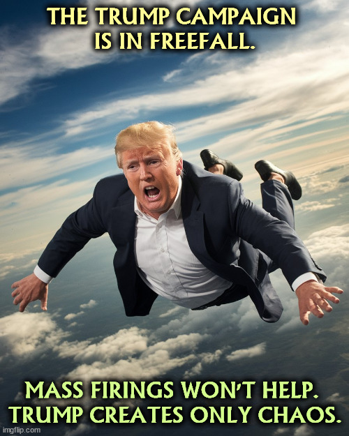 Trump thinks he's the smartest guy in the room. He never is. Even in empty room Trump comes in last. | THE TRUMP CAMPAIGN 
IS IN FREEFALL. MASS FIRINGS WON'T HELP. 
TRUMP CREATES ONLY CHAOS. | image tagged in trump,campaign,falling,failing,collapse | made w/ Imgflip meme maker