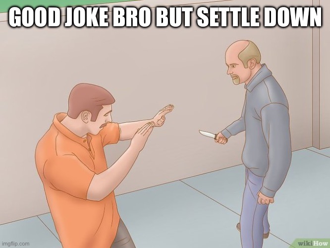 crazy stabbing | GOOD JOKE BRO BUT SETTLE DOWN | image tagged in crazy stabbing | made w/ Imgflip meme maker