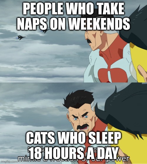 fraction of our power | PEOPLE WHO TAKE NAPS ON WEEKENDS; CATS WHO SLEEP 18 HOURS A DAY | image tagged in fraction of our power | made w/ Imgflip meme maker