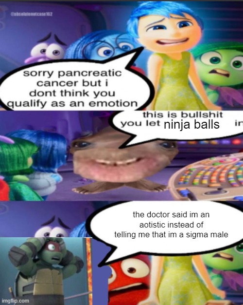 sorry pancreatic cancer but I don’t think you qualify as an emot | ninja balls; the doctor said im an aotistic instead of telling me that im a sigma male | image tagged in sorry pancreatic cancer but i don t think you qualify as an emot | made w/ Imgflip meme maker