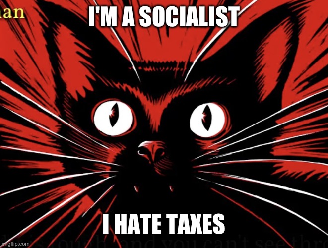 Sabo tabby | I'M A SOCIALIST I HATE TAXES | image tagged in sabo tabby | made w/ Imgflip meme maker
