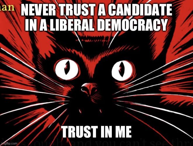 Sabo tabby | NEVER TRUST A CANDIDATE IN A LIBERAL DEMOCRACY TRUST IN ME | image tagged in sabo tabby | made w/ Imgflip meme maker