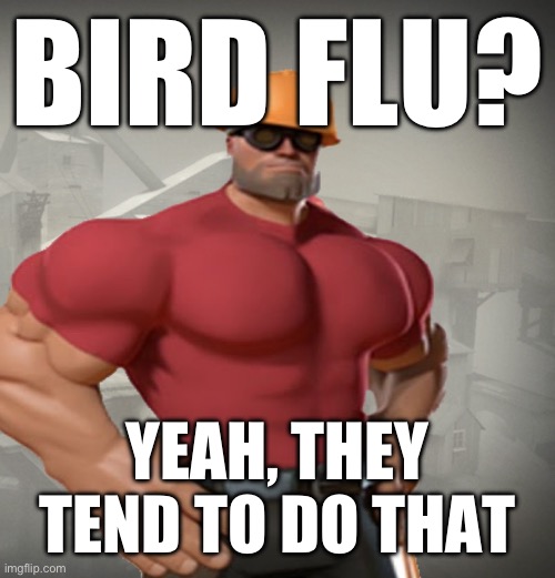 TF2 Buff Engineer | BIRD FLU? YEAH, THEY TEND TO DO THAT | image tagged in tf2 buff engineer | made w/ Imgflip meme maker