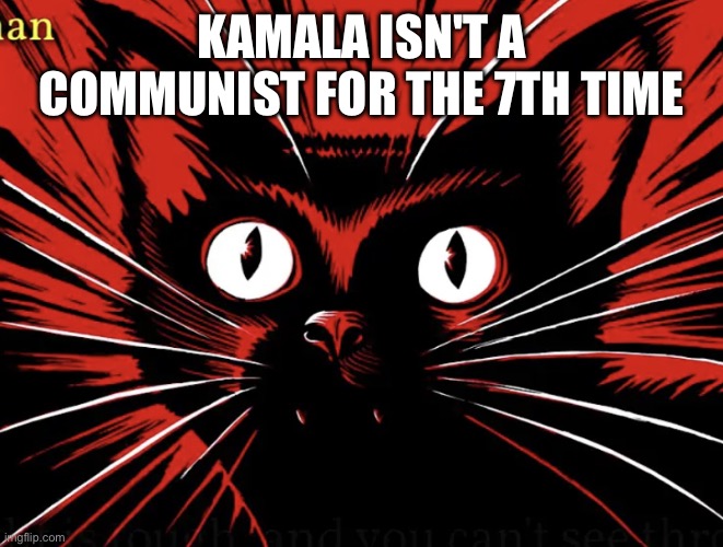 Sabo tabby | KAMALA ISN'T A COMMUNIST FOR THE 7TH TIME | image tagged in sabo tabby | made w/ Imgflip meme maker