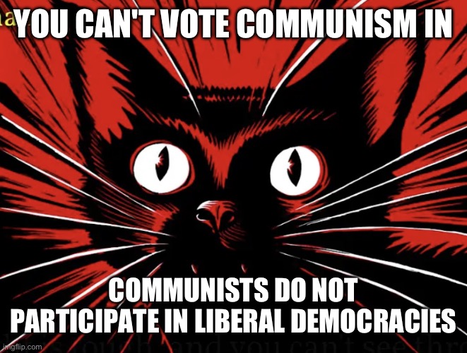 Sabo tabby | YOU CAN'T VOTE COMMUNISM IN COMMUNISTS DO NOT PARTICIPATE IN LIBERAL DEMOCRACIES | image tagged in sabo tabby | made w/ Imgflip meme maker