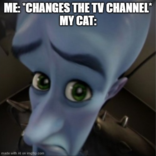 I HAVE RETURNED (for like 5 seconds, im going to leave after posting this) | ME: *CHANGES THE TV CHANNEL*
MY CAT: | image tagged in megamind peeking,im back,but not for long | made w/ Imgflip meme maker