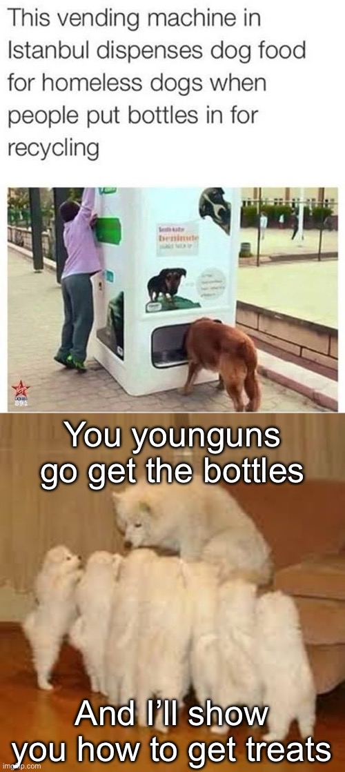 Dog treats | You younguns go get the bottles; And I’ll show you how to get treats | image tagged in storytelling dog 2,treats,self,servers | made w/ Imgflip meme maker