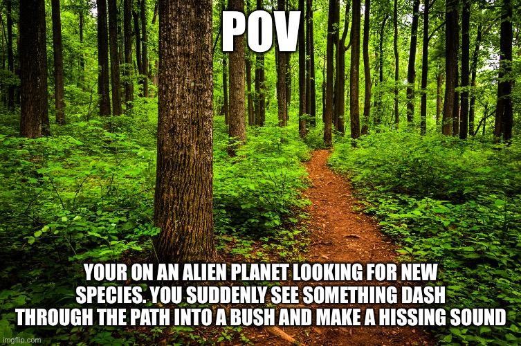 Alien rp! (Knowledge of Xenomorphs recommended) | POV; YOUR ON AN ALIEN PLANET LOOKING FOR NEW SPECIES. YOU SUDDENLY SEE SOMETHING DASH THROUGH THE PATH INTO A BUSH AND MAKE A HISSING SOUND | image tagged in forest path | made w/ Imgflip meme maker