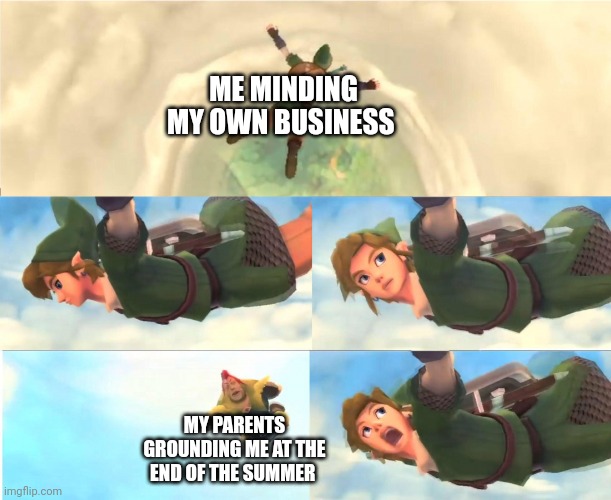 Link Falling | ME MINDING MY OWN BUSINESS; MY PARENTS GROUNDING ME AT THE END OF THE SUMMER | image tagged in link falling | made w/ Imgflip meme maker