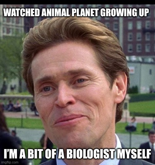 you know, im somewhat of a scientist myself | WATCHED ANIMAL PLANET GROWING UP; I’M A BIT OF A BIOLOGIST MYSELF | image tagged in you know im somewhat of a scientist myself | made w/ Imgflip meme maker