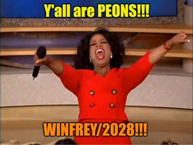 Oprah You Get A Meme | Y'all are PEONS!!! WINFREY/2028!!! | image tagged in memes,oprah you get a | made w/ Imgflip meme maker