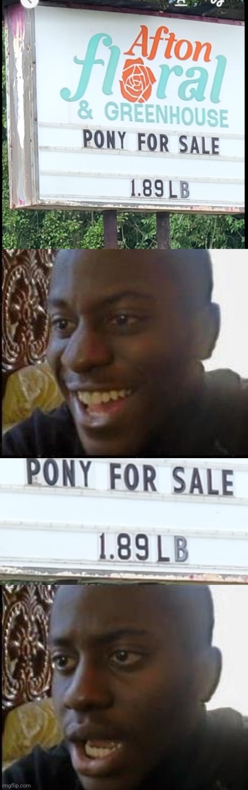 GUESS THERE WILL BE NO PONY RIDES | image tagged in disappointed black guy,funny signs,signs,fail | made w/ Imgflip meme maker