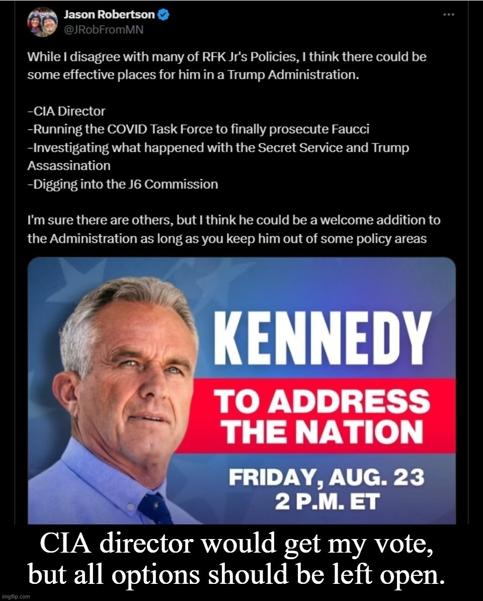 RFK Jr. to address the nation on Friday, August 23, 2024 | image tagged in robert f kennedy jr,rfk jr,instant karma,karma's a bitch,mad karma,dnc | made w/ Imgflip meme maker